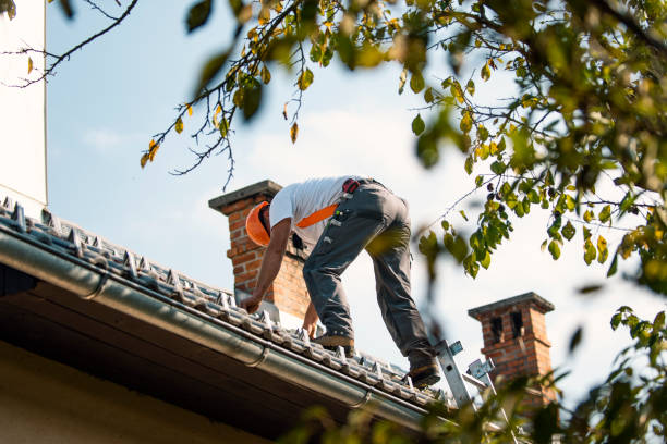 Best Roof Maintenance Services  in Beechwood, MS