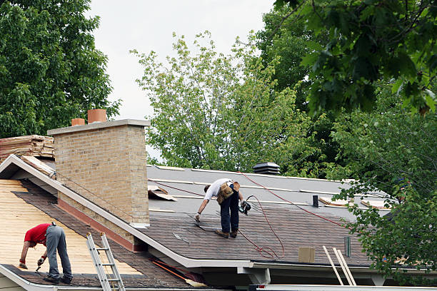 Best Roof Maintenance Services  in Beechwood, MS