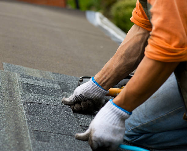 Professional Roofing Contractor in Beechwood, MS