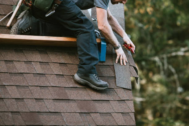 Best Roof Gutter Cleaning  in Beechwood, MS